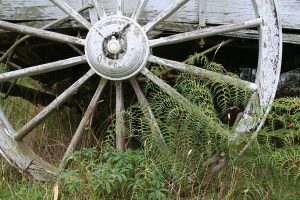 Wheel
