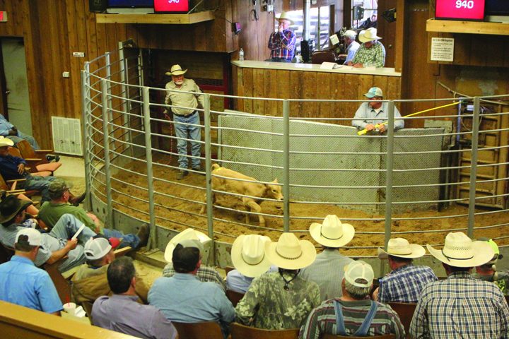 Ownership Group Grabs Auction Barn By The Horns Post Register