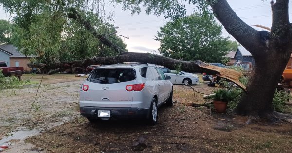 Straight line winds blamed for storm damage not tornado – Post Register