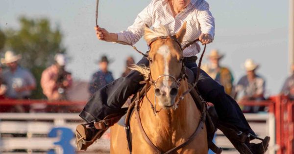 EHV-1 Outbreak puts Central Texas horse owners and rodeo athletes on alert